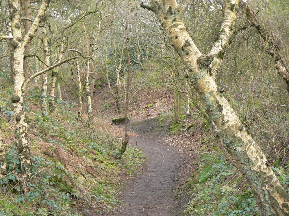 Old quarry 8